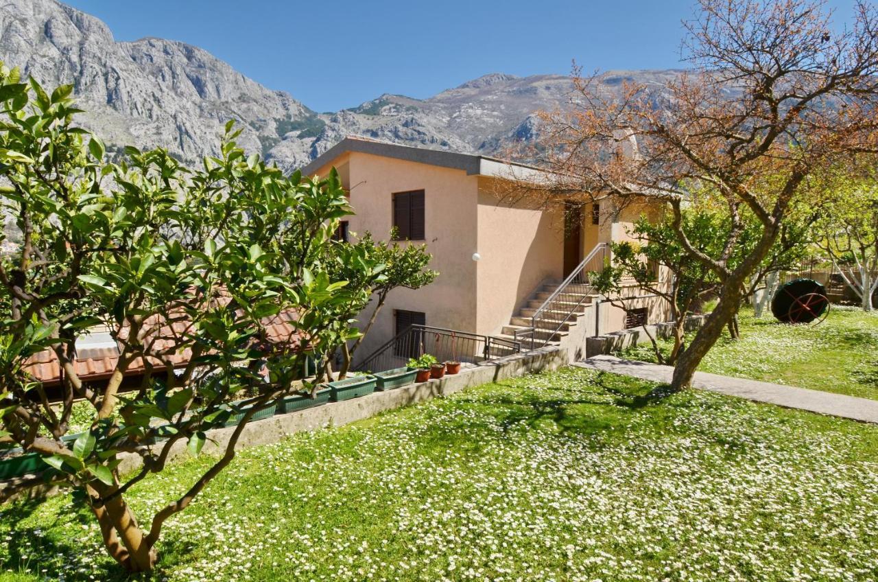 Apartments Andrija Kotor Ngoại thất bức ảnh
