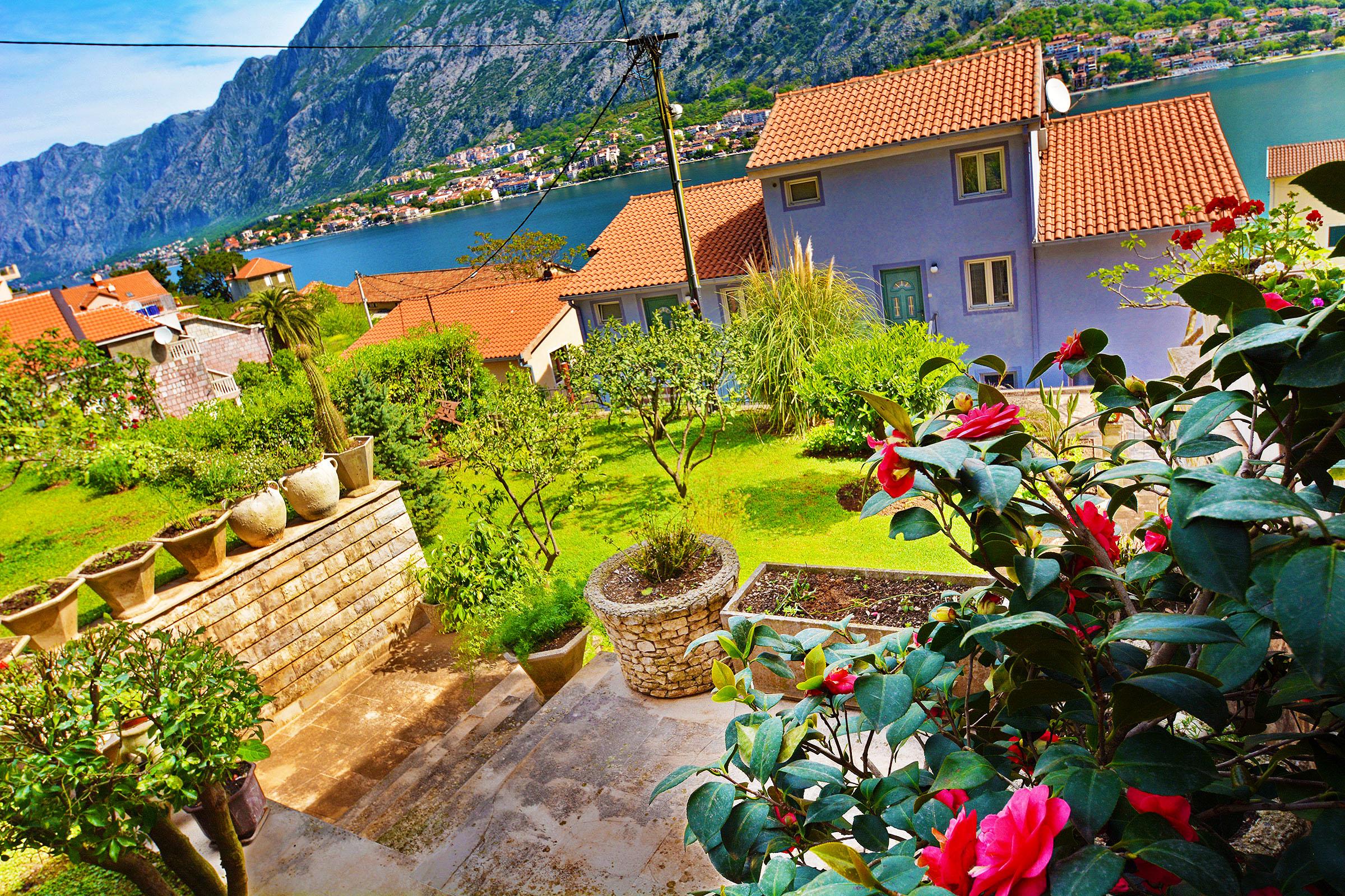 Apartments Andrija Kotor Ngoại thất bức ảnh