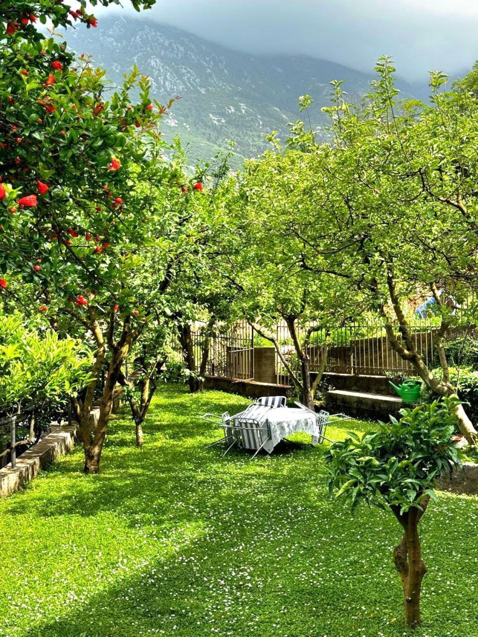 Apartments Andrija Kotor Ngoại thất bức ảnh